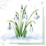 Șervețel - Snowdrops - 33x33 cm