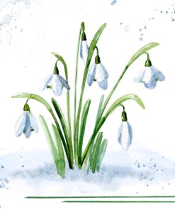 Șervețel - Snowdrops - 33x33 cm