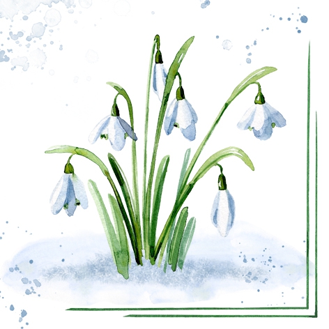 Șervețel - Snowdrops - 33x33 cm 1 Șervețel - Snowdrops - 33x33 cm