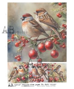 Hârtie de orez - Winter Birds - A4