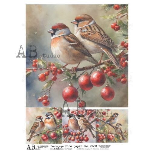 Hârtie de orez - Winter Birds - A4 1