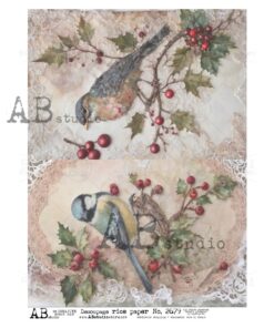 Hârtie de orez – Birds - A4