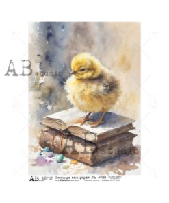 Hârtie de orez - Chicken - A4