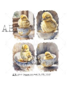 Hârtie de orez - Chicken in the Pot - A4