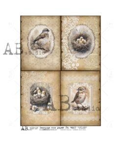Hârtie de orez - Easter Frame Vintage - A4