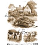 Hârtie de orez - Farm - A4
