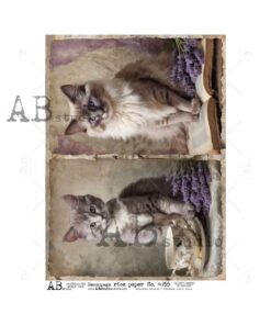 Hârtie de orez - Lavender&cat - A4