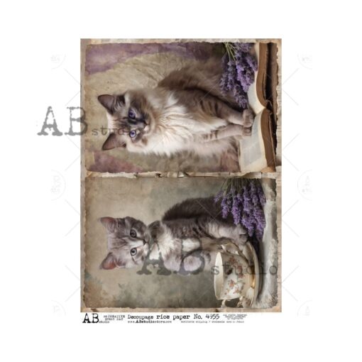 Hârtie de orez - Lavender&cat - A4 1