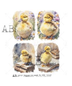 Hârtie de orez - Little Duck - A4