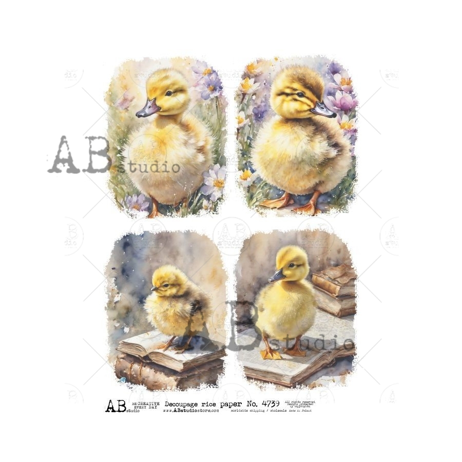 Hârtie de orez - Little Duck - A4 1 Hârtie de orez - Little Duck - A4