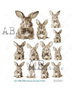 Hârtie de orez - Portrait Bunny 1 - A4