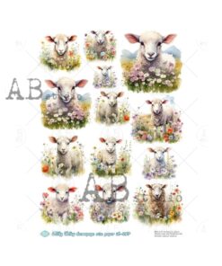 Hârtie de orez - Portrait Lamb 2 - A4