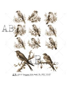 Hârtie de orez - Sepia Birds spring - A4