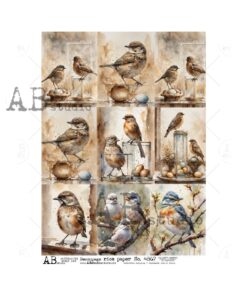 Hârtie de orez - Vintage images birds 2 - A4