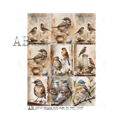 Hârtie de orez - Vintage images birds 2 - A4 1