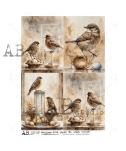Hârtie de orez - Vintage images birds 4 - A4