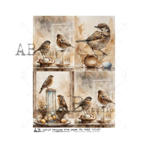 Hârtie de orez - Vintage images birds 4 - A4 1