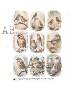 Hârtie de orez - Vintage images birds - A4
