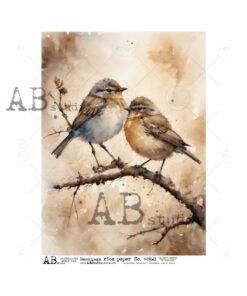 Hârtie de orez - Vintage images two birds - A4