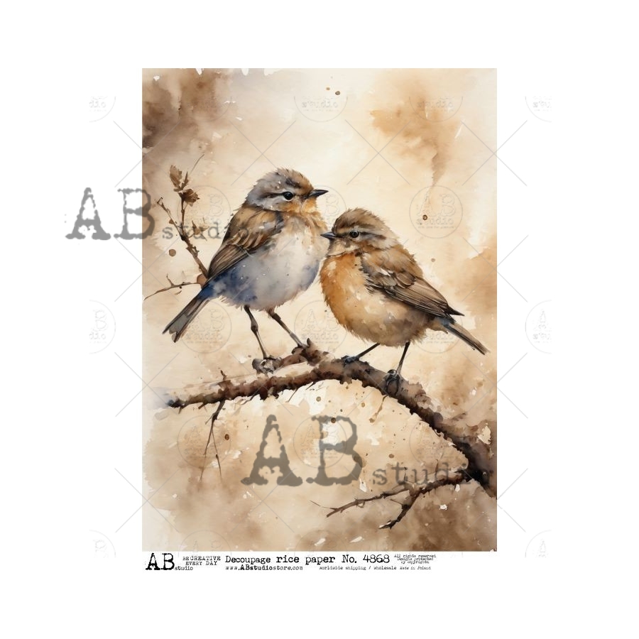 Hârtie de orez - Vintage images two birds - A4 1 Hârtie de orez - Vintage images two birds - A4