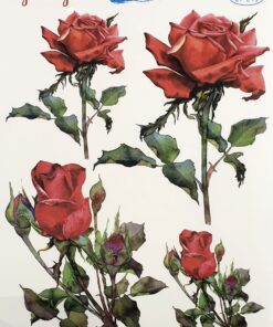 Hârtie transfer - water - Red Rose - 25x35 cm
