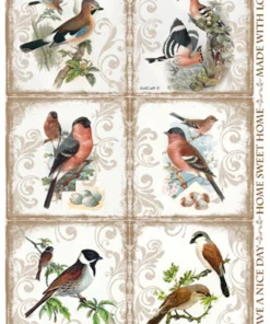 Hârtie de orez - Vintage Birds - A4