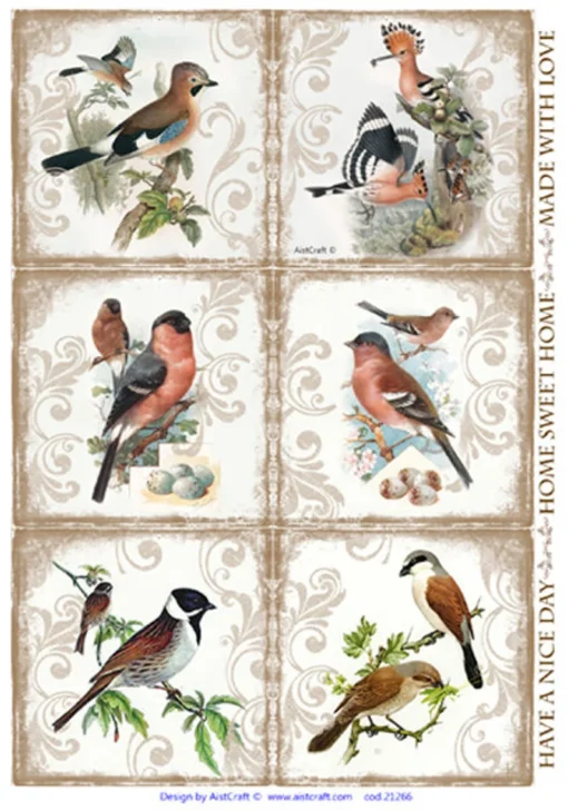 Hârtie de orez - Vintage Birds - A4 1