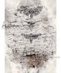 Hârtie de orez - Vintage Lepidoptera - A4