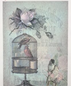 Hârtie transfer – decal – Birds – 25×35 cm