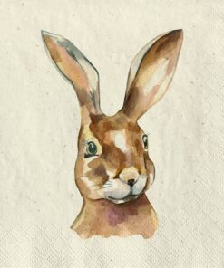 Șervețel - Mr. Rabbit - 24x24 cm