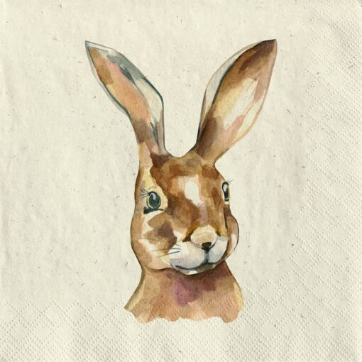 Șervețel - Mr. Rabbit - 24x24 cm 1
