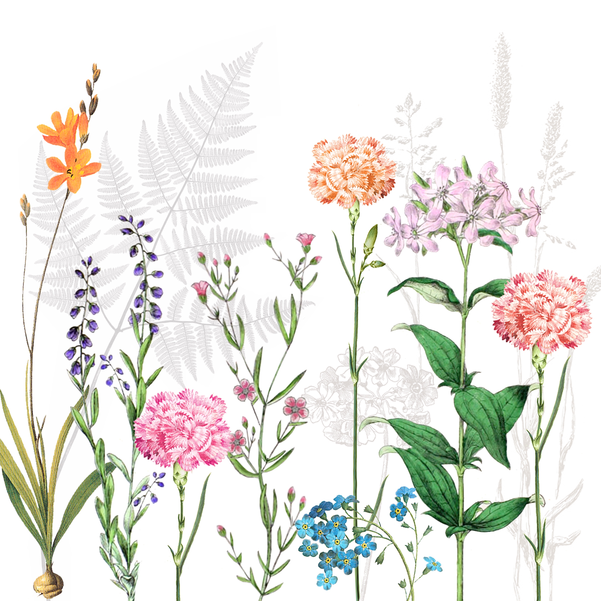 Șervețel - Botanica - 33x33 cm 1 Șervețel - Botanica - 33x33 cm
