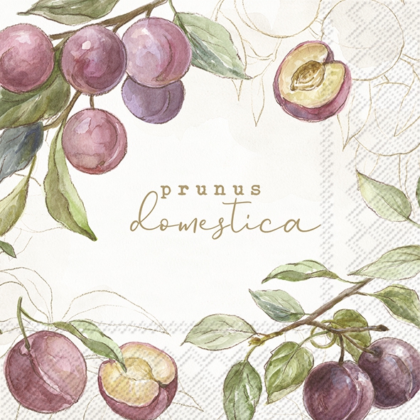 Șervețel - Country Plums - 25x25 cm 1 Șervețel - Country Plums - 25x25 cm