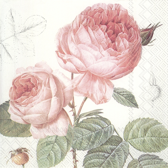 Șervețel - Elisabeth - 33x33 cm 1 Șervețel - Elisabeth - 33x33 cm