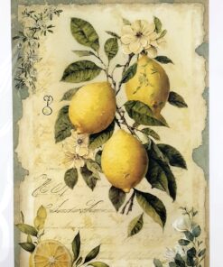 Hârtie transfer – water – Lemon – 25×35 cm
