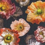 Șervețel - Papaver - 33x33 cm