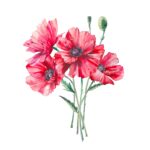 Șervețel - Poppy - 33x33 cm