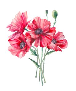 Șervețel - Poppy - 33x33 cm