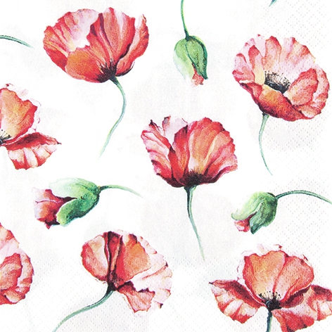 Șervețel - Poppy Drawing - 33x33 cm 1 Șervețel - Poppy Drawing - 33x33 cm