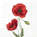 Șervețel - Proud Poppy - 33x33 cm