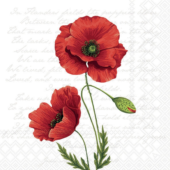 Șervețel - Proud Poppy - 33x33 cm 1 Șervețel - Proud Poppy - 33x33 cm
