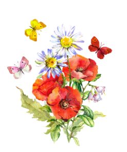 Șervețel - Wild Poppy - 33x33 cm