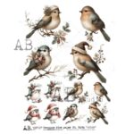 Hârtie de orez - Christmas Birds - A4