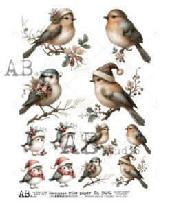 Hârtie de orez - Christmas Birds - A4