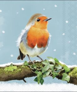 Șervețel – Robin on Branch - 25x25 cm