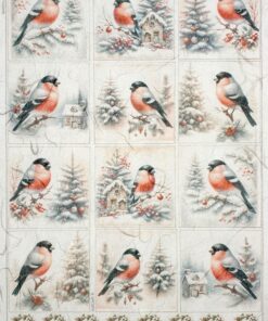 Hârtie de orez - Robin in Winter 2 - A4