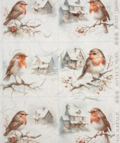 Hârtie de orez - Robin in Winter - A4