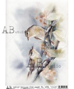 Hârtie de orez - Birds - A4