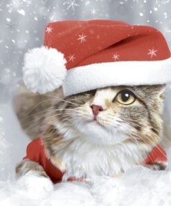 Șervețel - Kitten Christmas - 33x33 cm