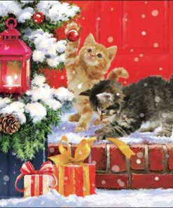 Șervețel - Kittens on Doorstep - 25x25 cm